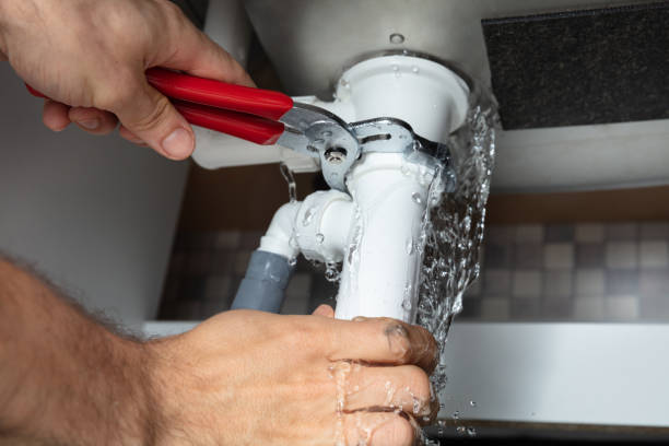 Best Commercial water damage restoration  in Magnolia Springs, AL