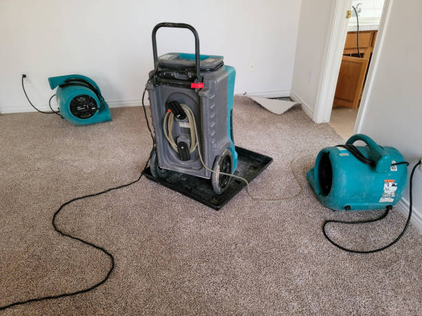 Best Water damage contractors near me  in Magnolia Springs, AL