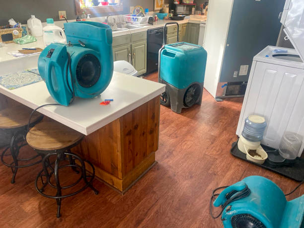 Best Flooded house restoration  in Magnolia Springs, AL