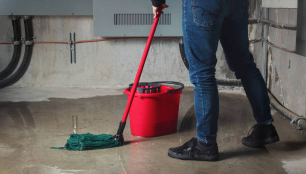 Best Residential water damage restoration  in Magnolia Springs, AL