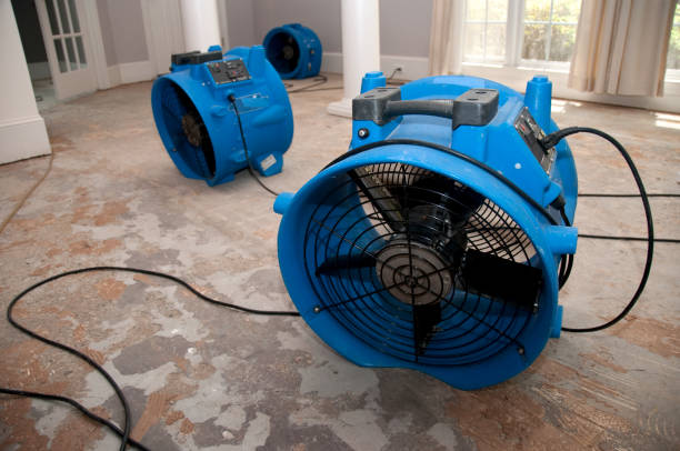 Best Water damage restoration near me  in Magnolia Springs, AL