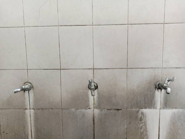 Best Professional water damage repair  in Magnolia Springs, AL