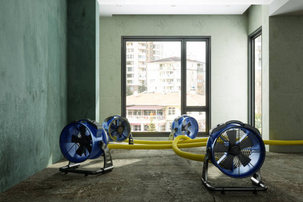 Best Carpet water damage restoration  in Magnolia Springs, AL